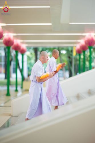 ภาพ No.244723:วันเสาร์ที่ 6 กันยายน พ.ศ. 2568 พิธีขอขมา-รับผ้าไตรของนาคธรรมทายาท โครงการอุปสมบทหมู่บูชาธรรมครบรอบ 108 ปี  วันครูผู้ค้นพบวิชชาธรรมกาย ณ โบสถ์พระไตรปิฎก วัดพระธรรมกาย