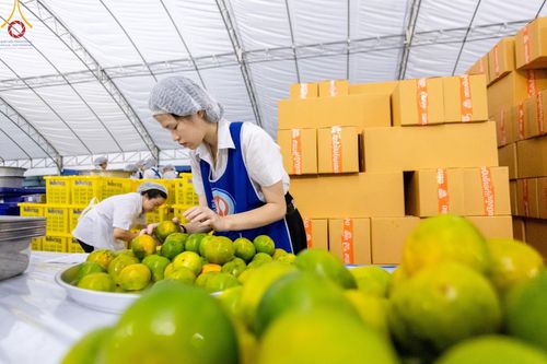 ภาพ No.58948:V.40 ภัตตาหารพระหมื่นวัด เราจัดให้ การปฏิบัติงานของเจ้าหน้าที่และอาสาสมัคร เพื่อรับบุญในการถวายภัตตาหาร แด่คณะสงฆ์ 10,000 กว่าวัดทั่วประเทศ ที่มาร่วมงานวันคุ้มครองโลก จันทร์ที่ 22 เมษายน พ.ศ. 2567 ณ วัดพระธรรมกาย