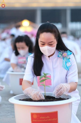 ภาพ No.90193:พิธีปลูกทรัพย์บานชื่น  เนื่องใน 139 ปี วันคล้ายวันเกิดด้วยรูปกายเนื้อ พระมงคลเทพมุนี (สด จนฺทสโร) พระผู้ปราบมาร วันอังคารที่ 10 ตุลาคม พ.ศ. 2566 ณ วัดพระธรรมกาย จ.ปทุมธานี