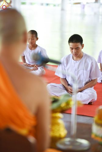 ภาพ No.90951:โครงการบรรพชาสามเณร ศูนย์ปฏิบัติธรรมบุญประสาน จ.นครราชสีมา ระหว่างวันที่ 11 - 31 ตุลาคม พ.ศ. 2566