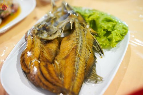 ภาพ No.160991:พิธีถวายภัตตาหารเมนูสวรรค์ ในพรรษาแห่งการเข้าถึงธรรม วันที่ 10 ตุลาคม พ.ศ. 2567 ณ สภาธรรมกายสากล วัดพระธรรมกาย