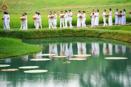 ภาพ No.96053:พิธีทอดกฐินสามัคคี ณ ศูนย์ปฏิบัติธรรมนานาชาติปาย อ.ปาย จ.แม่ฮ่องสอน วันที่ 12 พฤศจิกายน พ.ศ. 2566