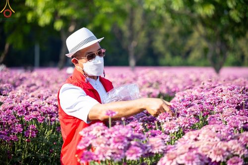 ภาพ No.102882:สาธุชนร่วมรับบุญเก็บดอกเบญจทรัพย์ ในวันที่ 19 ธันวาคม พ.ศ. 2566 (วันแรก) ณ บริเวณวัดพระธรรมกาย จ.ปทุมธานี