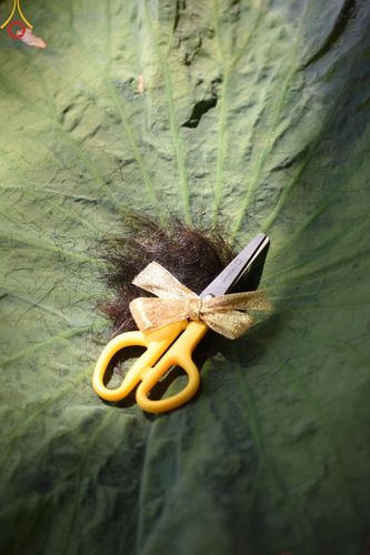 ภาพ No.135182:พิธีตัดปอยผม, พิธีขอขมารับผ้าไตร, พิธีบรรพชา, พิธีถวายบาตร ในโครงการบรรพชาสามเณร ฟื้นฟูพระพุทธศาสนาทั่วไทย  ณ ศูนย์ปฏิบัติธรรมบุญประสาน ต.พญาเย็น อ.ปากช่อง จ.นครราชสีมา วันที่ 5 เมษายน พ.ศ. 2567