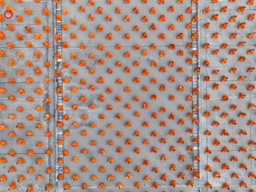 ภาพ No.102237:พระธรรมทายาทในโครงการอุปสมบทหมู่ บูชาธรรมมหาปูชนียาจารย์ ร่วมปฏิบัติธรรม ถ่ายภาพหมู่ประวัติศาสตร์ และรับฟังโอวาทจากหลวงพ่อทัตตชีโว ณ ลานธรรม พระมหาธรรมกายเจดีย์ วัดพระธรรมกาย วันที่ 15 ธันวาคม พ.ศ. 2566