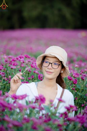 ภาพ No.186255:จิตอาสาอนุรักษ์สิ่งแวดล้อม รับบุญเก็บดอกเบญจทรัพย์ เพื่องานต้อนรับพระธรรมยาตรา ณ "ทุ่งสวรรค์ ตะวันฉาย" วัดพระธรรมกาบ วันที่ 22 ธันวาคม พ.ศ. 2567