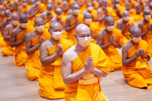 ภาพ No.124338:โครงการปฏิบัติธรรมพิเศษ ของพระธรรมยาตรา และพิธีมอบของขวัญสุดพิเศษ ณ World peace Valley เขาใหญ่ วันพุธที่ 21 กุมภาพันธ์ พ.ศ. 2567