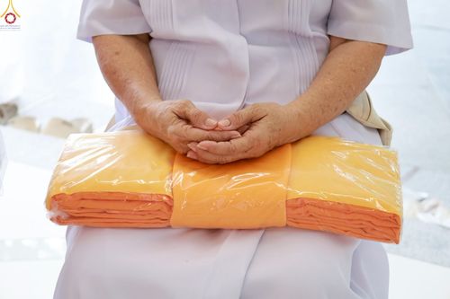 ภาพ No.227661:วันเสาร์ที่ 31 พฤษภาคม พ.ศ.2568 พิธีถวายผ้าไตรแด่สามเณรผู้เข้ารับการอุปสมบท , พิธีอุปสมบทสามเณรเตรียม DCI วัดพระธรรมกาย จ.ปทุมธานี