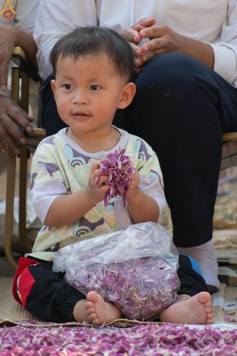 ภาพ No.294954:วันที่ 14 มกราคม พ.ศ. 2569 พิธีต้อนรับพระธรรมยาตรา อนุสรณ์สถานลำดับที่ 4  สถานที่เกิดด้วยกายธรรม ณ วัดโบสถ์บน ต.บางคูเวียง จ.นนทบุรี ในโครงการธรรมยาตรา กตัญญูบูชา มหาปูชนียาจารย์ พระมงคลเทพมุนี(สด จนฺทสโร) พระผู้ปราบมาร อนุสรณ์สถาน 7 แห่ง ปีที่ 14