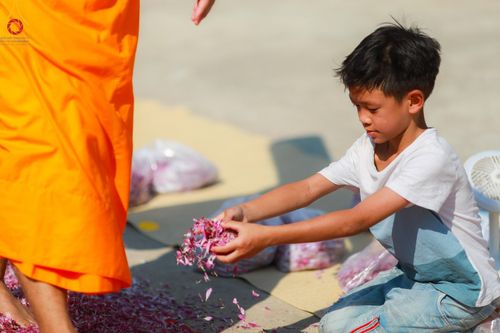 ภาพ No.116656:พิธีต้อนรับพระธรรมยาตรา ปีที่ 12 ณ อนุสรณ์สถานบางปลา จ.นครปฐม วันที่ 21 มกราคม พ.ศ. 2567