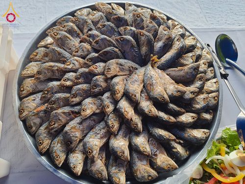 ภาพ No.201467:พิธีถวายภัตตาหารเป็นสังฆทาน แด่พระธรรมยาตรา ณ อนุสรณ์สถานบางปลา วัดบางปลา อำเภอบางเลน จังหวัดนครปฐม ในโครงการธรรมยาตรา กตัญญูบูชา มหาปูชนียาจารย์ พระมงคลเทพมุนี(สด จนฺทสโร) พระผู้ปราบมาร อนุสรณ์สถาน 7 แห่ง ปีที่ 13 วันที่ 25 มกราคม พ.ศ. 2568