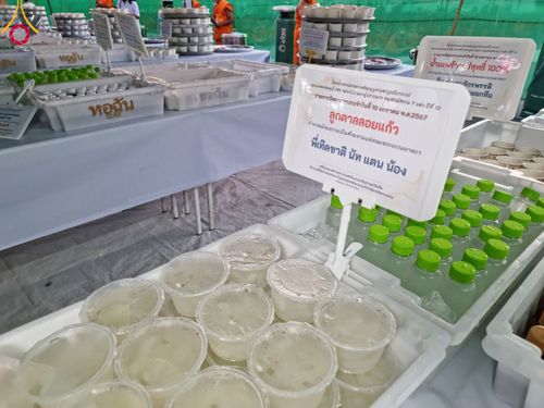 ภาพ No.109213:พิธีถวายภัตตาหารเป็นสังฆทาน แด่คณะพระธรรมยาตราฯ วันที่ 10 มกราคม พ.ศ. 2567 ณ อนุสรณ์สถานคลองบางนางแท่น อ.สามพราน จ.นครปฐม