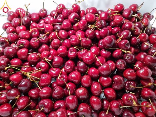 ภาพ No.114514:พิธีถวายภัตตาหารเป็นสังฆทาน แด่คณะพระธรรมยาตรา ปีที่ 12 วันที่ 18 มกราคม พ.ศ. 2567 ณ วัดโบสถ์(บน) บางคูเวียง จ.นนทบุรี