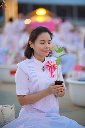 ภาพ No.160498:พิธีปลูกต้นทรัพย์บานชื่น ณ ลานธรรม พระมหาธรรมกายเจดีย์ วัดพระธรรมกาย จ.ปทุมธานี วันพฤหัสบดีที่ 10 ตุลาคม พ.ศ. 2567