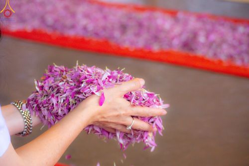 ภาพ No.120092:พิธีต้อนรับพระธรรมยาตรา ในโครงการธรรมยาตรา กตัญญูบูชา มหาปูชนียาจารย์ พระมงคลเทพมุนี(สด จนฺทสโร) พระผู้ปราบมาร อนุสรณ์สถาน 7 แห่ง ปีที่ 12 วันที่ 28 มกราคม พ.ศ. 2567 ณ วัดพระธรรมกาย จ.ปทุมธานี