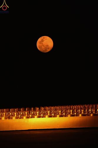 ภาพ No.77271:พิธีจุดมาฆประทีป ในวันมาฆบูชา อาทิตย์ต้นเดือนที่ 6 มีนาคม พ.ศ. 2566 ณ วัดพระธรรมกาย อ.คลองหลวง จ.ปทุมธานี