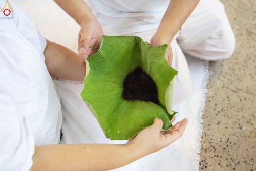 ภาพ No.78786:พิธีปลงผมนาคธรรมทายาท โครงการอบรมยุวธรรมทายาท มัชฌิมธรรมทายาท และธรรมทายาทรุ่นอุดมศึกษา ณ สภาธรรมกายสากล วัดพระธรรมกาย วันเสาร์ที่ 1 เมษายน พ.ศ. 2566