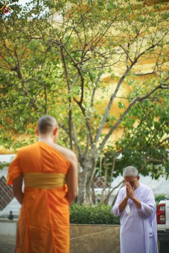 ภาพ No.299951:วันที่ 22 มกราคม พ.ศ.2569 พระธรรมยาตราปฏิบัติธรรม และถ่ายภาพหมู่ประวัติศาสตร์ ณ อาคารธรรมยาตรา กตัญญูบูชามหาปูชนียาจารย์  ตรงข้ามวัดปากน้ำภาษีเจริญ จ.กรุงเทพมหานคร ในโครงการธรรมยาตรา กตัญญูบูชา มหาปูชนียาจารย์ พระมงคลเทพมุนี(สด จนฺทสโร) พระผู้ปราบมาร อนุ