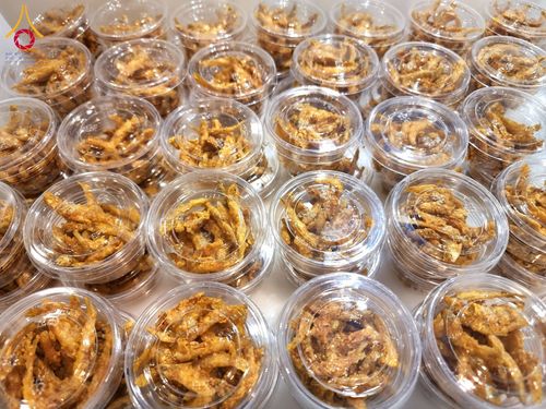 ภาพ No.204383:พิธีถวายภัตตาหารเป็นสังฆทาน แด่พระธรรมยาตรา ณ วัดพระธรรมกาย ตำบลคลองสาม อำเภอคลองหลวง จังหวัดปทุมธานี ในโครงการธรรมยาตรา กตัญญูบูชา มหาปูชนียาจารย์ พระมงคลเทพมุนี(สด จนฺทสโร) พระผู้ปราบมาร อนุสรณ์สถาน 7 แห่ง ปีที่ 13 วันที่ 31 มกราคม พ.ศ. 2568