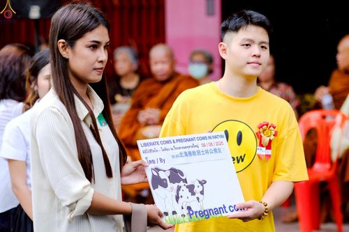 ภาพ No.238189:วันเสาร์ที่ 9 สิงหาคม พ.ศ. 2568 พิธีไถ่ชีวิตโค-โคท้อง 162 ตัว ณ ใจกลางนครหาดใหญ่ จ.สงขลา