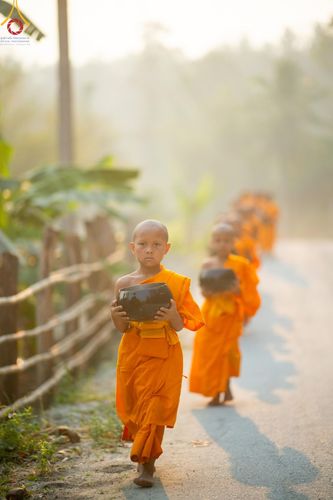 ภาพ No.62271:Photo Story  มหัศจรรย์วัดดงดินแดง Episode 4 กิจกรรมตักบาตรฉลองพระ-เณรกว่า 500 รูป