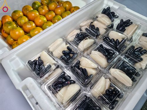 ภาพ No.106708:พิธีถวายภัตตาหารเป็นสังฆทาน แด่คณะพระธรรมยาตราฯ ในโครงการธรรมยาตรากตัญญูบูชา มหาปูชนียาจารย์ พระมงคลเทพมุนี(สด จนฺทสโร) พระผู้ปราบมาร อนุสรณ์สถาน 7 แห่ง ปีที่ 12 วันที่ 6 มกราคม พ.ศ. 2567 ณ อนุสรณ์สถานโลตัสแลนด์ จ.สุพรรณบุรี