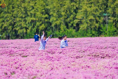 ภาพ No.104280:โครงการตอบปัญหาธรรมะทางก้าวหน้า ครั้งที่ 41 รอบชิงชนะเลิศระดับชาติ วันเสาร์ที่ 23 ธันวาคม พ.ศ. 2566 ณ ห้องแก้วสารพัดนึก วัดพระธรรมกาย จัดโดย ชมรมพุทธศาสตร์สากล