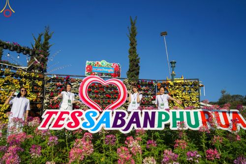 ภาพ No.106825:พิธีตักบาตรพระ ๒๐๐ รูป  "สร้างบุญใหญ่ ส่งท้ายปีเก่า ต้อนรับปีใหม่ ๒๕๖๗" วันอาทิตย์ที่ ๓๑ ธันวาคม ๒๕๖๖ ณ ถนนหน้าที่ว่าการอำเภอภูเรือ อำเภอภูเรือ จังหวัดเลย