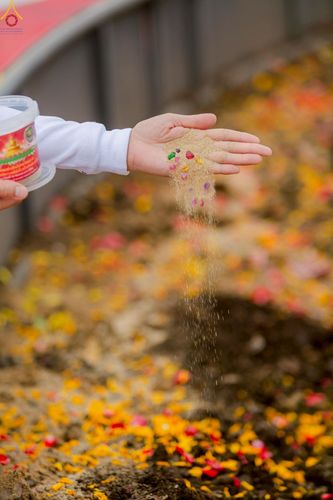 ภาพ No.246950:วันอาทิตย์ที่ 14 กันยายน พ.ศ. 2568 พิธีทอดผ้าป่า ซื้อดิน ปรับพื้นที่ลานธรรม  และพิธีกลั่นแผ่นดิน โปรยทราย สถาปนาองค์พระเจดีย์ เพื่อสร้างสันติภาพโลก  ณ ศูนย์ปฏิบัติธรรมสระบุรี อ.พระพุทธบาท จ.สระบุรี