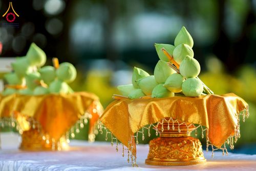 ภาพ No.244631:วันเสาร์ที่ 6 กันยายน พ.ศ. 2568 พิธีเวียนประทักษิณ และวันทาสีมาของนาคธรรมทายาท โครงการอุปสมบทหมู่บูชาธรรมครบรอบ 108 ปี วันครูผู้ค้นพบวิชชาธรรมกาย ณ โบสถ์พระไตรปิฎก วัดพระธรรมกาย