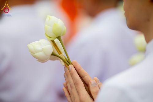 ภาพ No.336768:วันที่ 14 มิถุนายน พ.ศ. 2569 พิธีอุปสมบทธรรมทายาท นานาชาติยุโรปรุ่นที่ 11 เบลเยียม