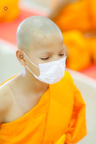 ภาพ No.79928:พิธีขอบรรพชา , พิธีคล้องอังสะ พิธีขอสรณคมน์และศีล , พิธีขอนิสสัย ในโครงการบรรพชาสามเณรฟื้นฟูพระพุทธศาสนาทั่วไทย วันเสาร์ที่ 8 เมษายน พ.ศ.2566