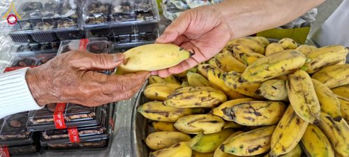 ภาพ No.209238:วันเสาร์ที่ 1 มีนาคม พ.ศ. 2568 สัมมนาใหญ่ ผู้นำบุญ 10,000 คน เพื่องานมหาสังฆทาน 40,000 กว่าวัดทั่วประเทศ ณ สภาธรรมกายสากล วัดพระธรรมกาย