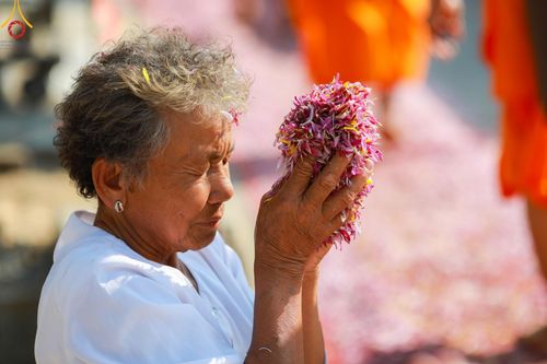 ภาพ No.116663:พิธีต้อนรับพระธรรมยาตรา ปีที่ 12 ณ อนุสรณ์สถานบางปลา จ.นครปฐม วันที่ 21 มกราคม พ.ศ. 2567