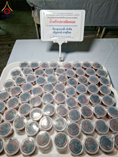 ภาพ No.118762:พิธีถวายภัตตาหารเป็นสังฆทาน แด่คณะพระธรรมยาตรา วันที่ 25 มกราคม พ.ศ. 2567 ณ อนุสรณ์สถานบางนางแท่น จ.นครปฐม