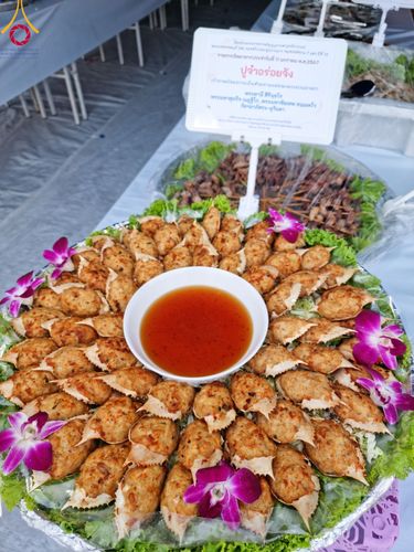 ภาพ No.109927:ถวายภัตตาหารเป็นสังฆทาน แด่คณะพระธรรมยาตราฯ ปีที่ 12 วันที่ 11 มกราคม พ.ศ. 2567 ณ อนุสรณ์สถานคลองบางนางแท่น  อ.สามพราน จ.นครปฐม