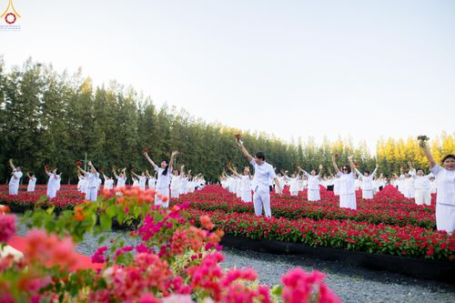 ภาพ No.280957:วันที่ 28 ธันวาคม พ.ศ.2568 กิจกรรมเก็บดอกแพงรวย ณ ทุ่งสวรรค์ตะวันฉาย วัดพระธรรมกาย