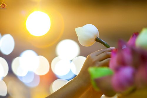 ภาพ No.244345:วันที่ 7 กันยายน พ.ศ. 2568 พิธีจุดประทีป วันครูผู้ค้นพบวิชชาธรรมกาย ณ ลานธรรมฯ และวิหารคด วัดพระธรรมกาย