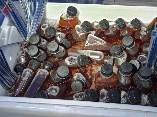 ภาพ No.200326:พิธีถวายภัตตาหารเป็นสังฆทาน แด่พระธรรมยาตรา ณ อนุสรณ์สถานบางปลา วัดบางปลา อำเภอบางเลน จังหวัดนครปฐม ในโครงการธรรมยาตรา กตัญญูบูชา มหาปูชนียาจารย์ พระมงคลเทพมุนี(สด จนฺทสโร) พระผู้ปราบมาร อนุสรณ์สถาน 7 แห่ง ปีที่ 13 วันที่ 23 มกราคม พ.ศ. 2568