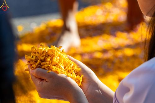 ภาพ No.105721:พิธีต้อนรับพระธรรมยาตรา ในโครงการธรรมยาตรากตัญญูบูชา มหาปูชนียาจารย์ พระมงคลเทพมุนี(สด จนฺทสโร) พระผู้ปราบมาร อนุสรณ์สถาน 7 แห่ง ปีที่ 12 วันที่ 3 มกราคม พ.ศ. 2567 ณ อนุสรณ์สถานโลตัสแลนด์ จ.สุพรรณบุรี