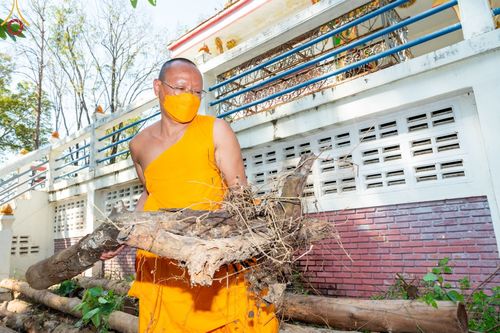 ภาพ No.71735:พระธรรมยาตรา ปฏิบัติศาสนกิจ ทำนุบำรุงศาสนสถาน, สวดธรรมจักร ,ปฏิบัติธรรม ร่วมกับชุมชน,นักเรียนเด็กดีวีสตาร์ และร่วมพิธีทอดผ้าป่าบำรุงศาสนสถาน ในโครงการธรรมยาตรากตัญญูบูชา มหาปูชนียาจารย์ พระมงคลเทพมุนี(สด จนฺทสโร) พระผู้ปราบมาร อนุสรณ์สถาน 7 แห่ง ปีที่ 11