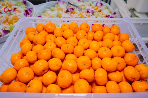 ภาพ No.292661:วันที่ 12 มกราคม พ.ศ. 2569 พิธีถวายภัตตาหารเป็นสังฆทาน แด่พระธรรมยาตรา ณ อนุสรณ์สถานมหาวิหารพระมงคลเทพมุนี (โลตัสแลนด์) อ.สองพี่น้อง จ.สุพรรณบุรี ในโครงการธรรมยาตรา กตัญญูบูชา มหาปูชนียาจารย์ พระมงคลเทพมุนี(สด จนฺทสโร) พระผู้ปราบมาร อนุสรณ์สถาน 7 แห่ง ปี