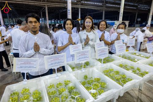 ภาพ No.120594:พิธีถวายภัตตาหารเป็นสังฆทาน แด่คณะพระธรรมยาตรา ปีที่ 12 วันที่ 29 มกราคม พ.ศ. 2567 ณ สภาธรรมกายสากล วัดพระธรรมกาย