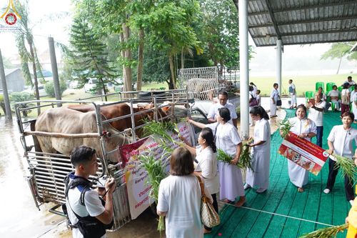 ภาพ No.152352:พิธีถวายมหาสังฆทานแด่พระภิกษุสงฆ์จำนวน 400 รูป ปีที่ 20 ณ ศูนย์อบรมเยาวชนผาสุกวนิช จ.ราชบุรี วันเสาร์ที่ 31 สิงหาคม พ.ศ. 2567