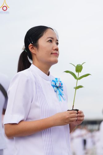 ภาพ No.160408:พิธีปลูกต้นทรัพย์บานชื่น ณ ลานธรรม พระมหาธรรมกายเจดีย์ วัดพระธรรมกาย จ.ปทุมธานี วันพฤหัสบดีที่ 10 ตุลาคม พ.ศ. 2567