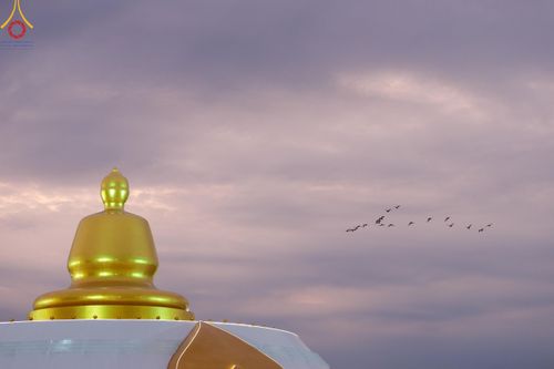 ภาพ No.118452:พิธีตักบาตรพระธรรมยาตรา ปีที่ 12 ณ อนุสรณ์สถานลำดับที่ 5 สถานที่เผยแผ่วิชชาธรรมกายครั้งแรก อนุสรณ์สถานบางปลา จ.นครปฐม วันที่ 25 มกราคม พ.ศ. 2567