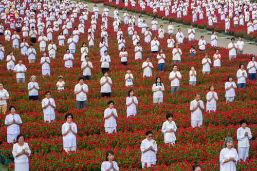 กิจกรรมเก็บดอกแพงรวย วันอาทิตย์ที่ 22 ธันวาคม พ.ศ. 2567 ณ ทุ่งสวรรค์ ตะวันฉาย วัดพระธรรมกาย