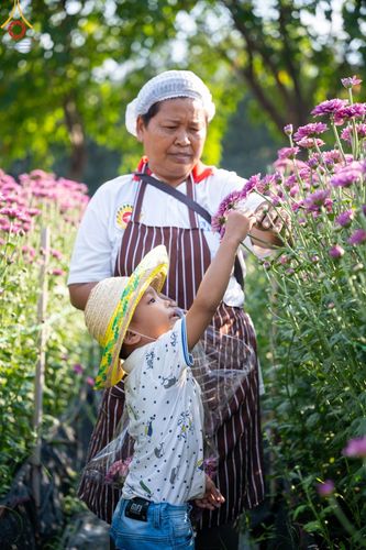 ภาพ No.102907:สาธุชนร่วมรับบุญเก็บดอกเบญจทรัพย์ ในวันที่ 19 ธันวาคม พ.ศ. 2566 (วันแรก) ณ บริเวณวัดพระธรรมกาย จ.ปทุมธานี