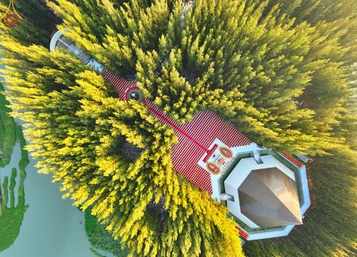 ภาพ No.190094:พิธีจุดประทีปถวายเป็นพุทธบูชา และบูชาธรรมมหาปูชนียาจารย์ ณ อนุสรณ์สถานมหาวิหารพระมงคลเทพมุนี (โลตัสแลนด์) อ.สองพี่น้อง จ.สุพรรณบุรี ในโครงการธรรมยาตรา กตัญญูบูชา มหาปูชนียาจารย์ พระมงคลเทพมุนี(สด จนฺทสโร) พระผู้ปราบมาร อนุสรณ์สถาน 7 แห่ง ปีที่ 13