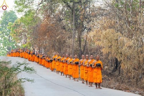 ภาพ No.62237:Photo Story  มหัศจรรย์วัดดงดินแดง Episode 4 กิจกรรมตักบาตรฉลองพระ-เณรกว่า 500 รูป